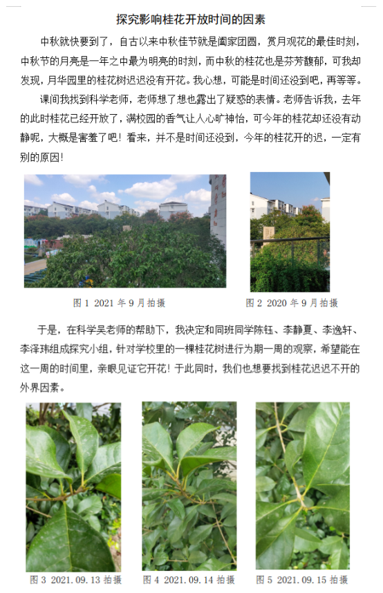 图形用户界面, 应用程序&#xA;&#xA;描述已自动生成