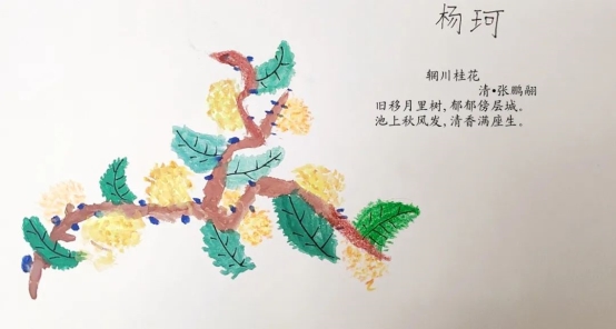 图片包含 地图&#xA;&#xA;描述已自动生成