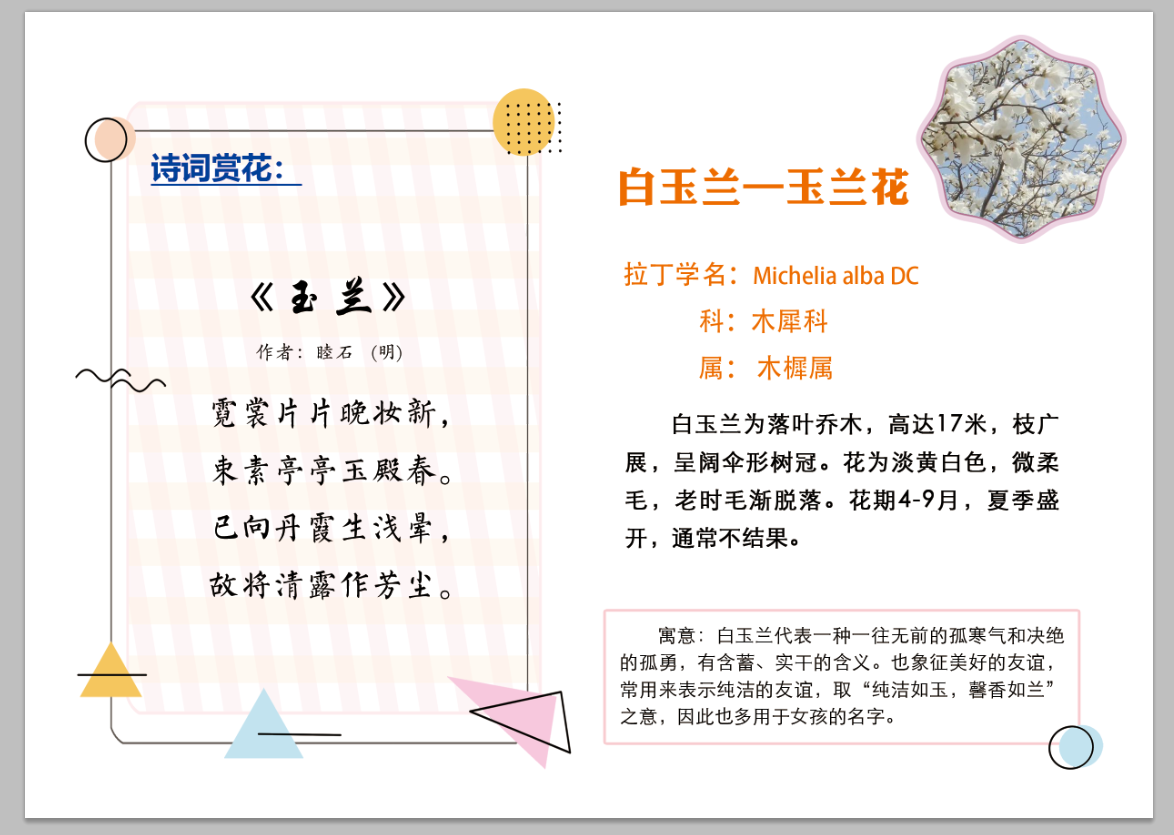 微信图片_201912032000267.png