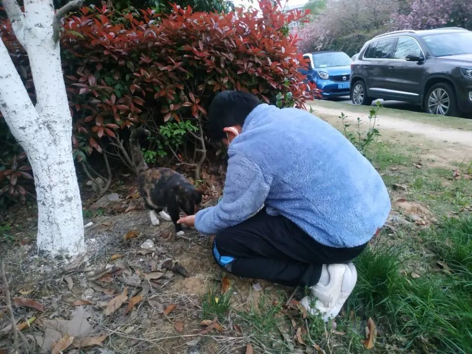 微信图片_20200407151204.jpg